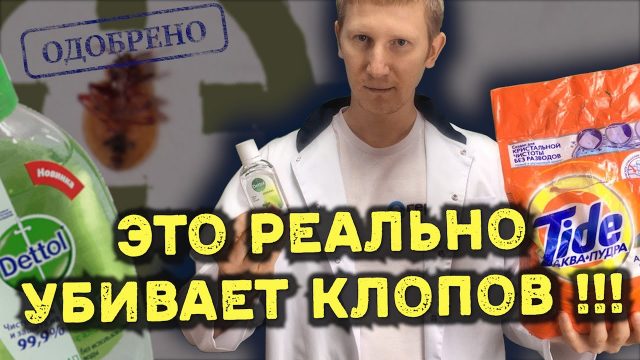 Как избавиться от клопов в квартире - эффективные способы